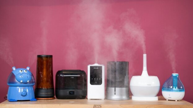 10 Best Humidifiers